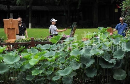  炽热|话说二十四节气 | 大暑：清心静气消暑纳凉 让我们一起经历生命最炽热的温度