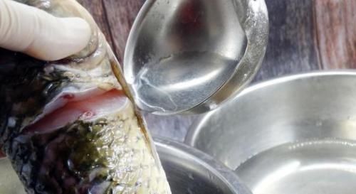 源头|剃掉“鱼腥线”,大错特错,这4处才是腥味源头,处理好做鱼更鲜