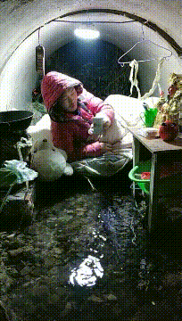 怀疑|“你们身边有舔狗舔到最后应有尽有的例子吗？”我怀疑你是在要攻略！哈