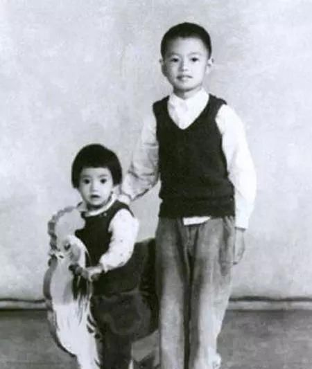  高圆圆|你还记得高圆圆吗？从小社交恐惧，放弃千万片酬的娱乐圈第1孝女！