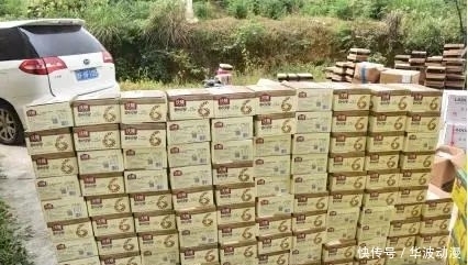 康某|男子买低价“网红坚果”，竟牵出千万大案！