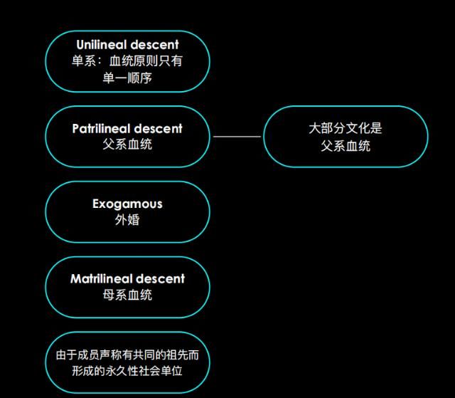 社会|男女之间关系不是“天生”的，而是被社会决定的？| 造就Talk·周如南