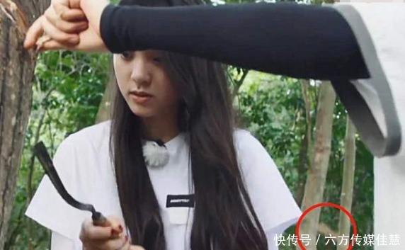  赔不起|《向往的生活》最金贵的明星，黄磊都不敢让她干活，怕赔不起！