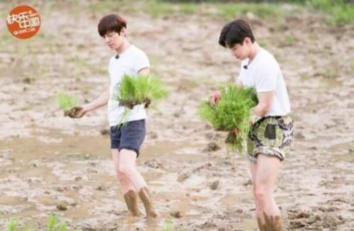  马赛克|《向往的生活》何炅被节目组“强行”打马赛克，就因为这3个字！