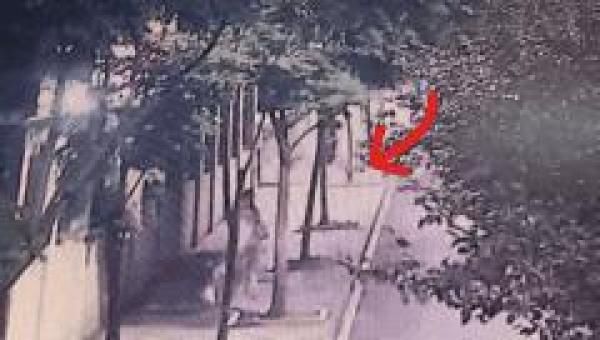 电瓶车|姑娘穿热裤出门遛狗，电瓶车开过，尴尬的一幕发生了！