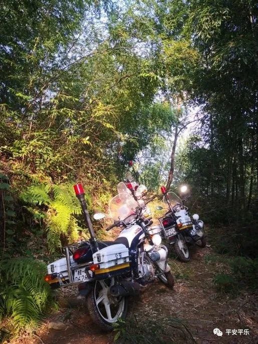 平乐|平乐人迹罕至的深山老林山顶现吸毒窝点，四名涉毒人员被抓！