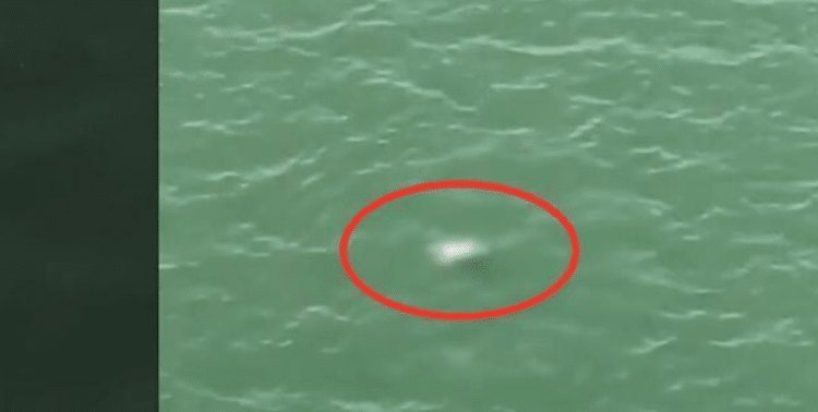  分钟|女子与丈夫起争执, 将1岁孩子扔进江中, 宝宝挣扎3分钟后沉入水底