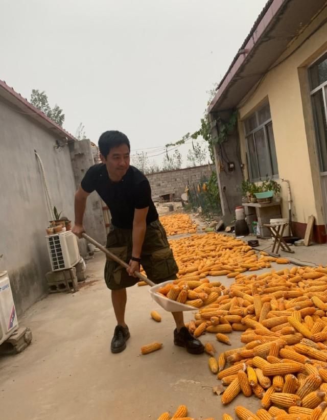  当过农民|演员郭晓东下地干农活，赤脚踩泥土里刨红薯，用农具熟练干活带劲