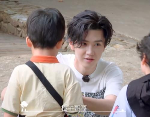  迎来|《小森林》迎来第一位飞行嘉宾，取代谭松韵，还被萌娃认成张新成