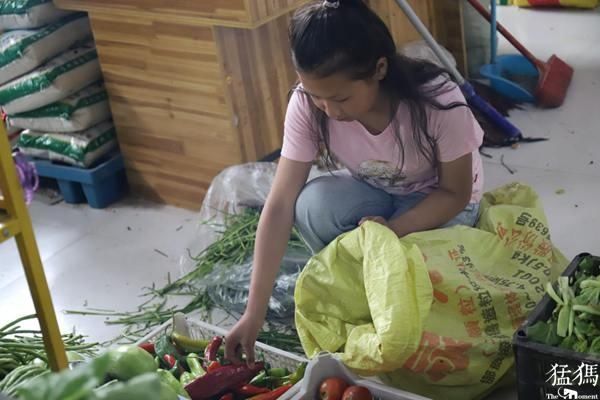 陶静文|郸城12岁女孩每天都去超市捡烂菜叶吃，背后原因令人心酸