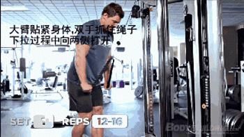  胸肌|男人胸肌锻炼指导