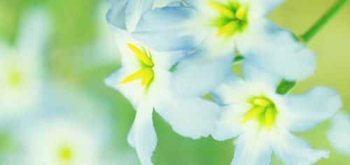  送给|适合发朋友圈的早安短句，经典有个性，送给深夜无眠的你