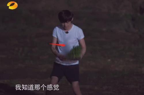  马赛克|《向往的生活》何炅被节目组“强行”打马赛克，就因为这3个字！