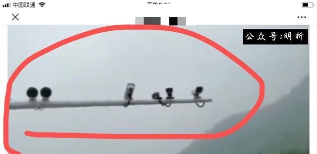  小鸟|公路横杆上“蹲”着的一排“小鸟”都是管什么的？