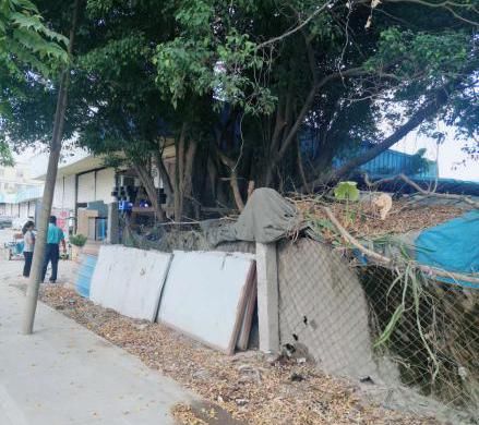 理应|【创文进行时】不回避,不遮丑!这些不文明现象理应整改