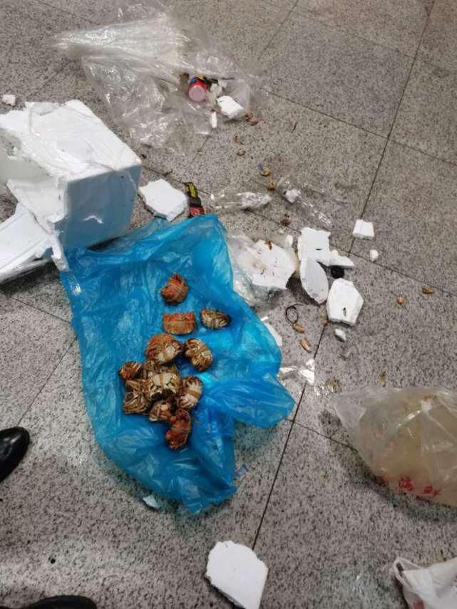  方式|地铁站厅内突现白雾还“跑”出来几只螃蟹，警方提醒：带干冰应注意存放方式