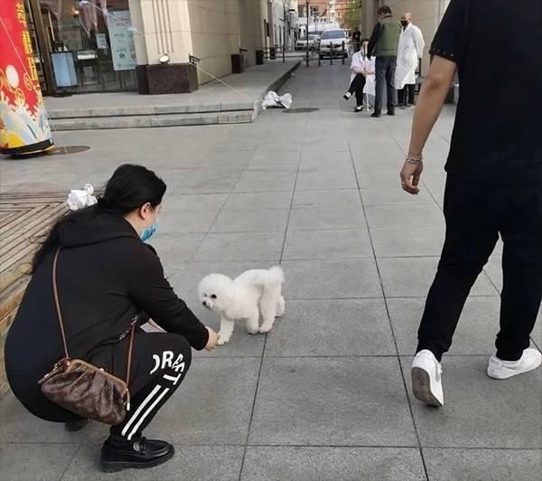 饲养|@白城养犬人士,文明养犬应该这样做