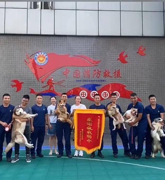  集体|狗狗集体探望消防员，反被【强制仰卧起坐】锻炼，网友笑喷