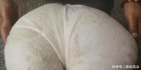 食材|本以为是个气球,切开后才知是惊喜,128元的大包子你想吃吗?