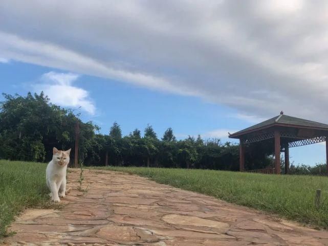 师大人|亲,好久不见