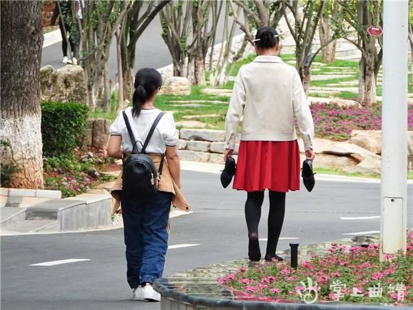 文明|【不文明行为随手拍】请勿在花台上行走