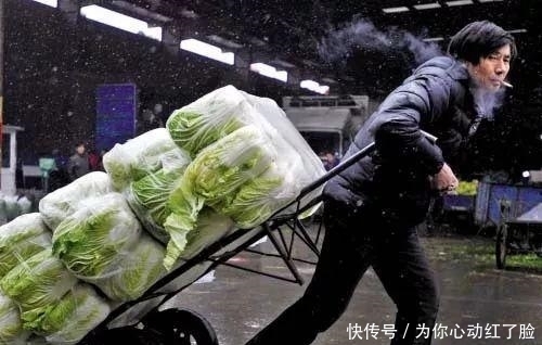 南方人|南方人说: 北方的食物, 是世界上最大的骗子! ?