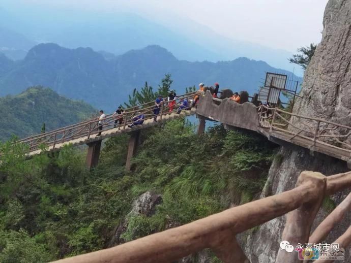  未归|女游客进温州景区未归，悬崖下找到尸体