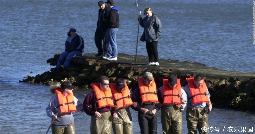 被判|直击：男子称没杀人，只是肢解了，最后被判入狱9个月！
