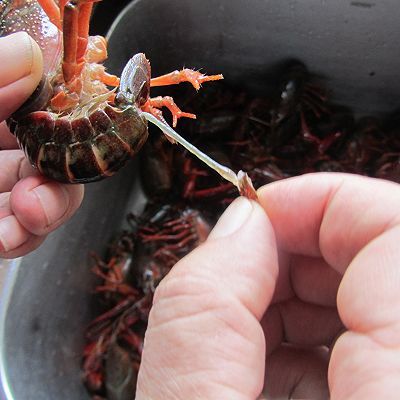 全麦|龙虾牛油果全麦面包