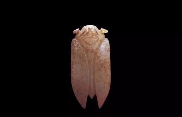 福泽|玉雕蝉的禁忌,你都了解吗?戴对才能腰“蝉”万贯、福泽一生!