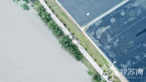  对太浦河|太湖水位连续17天超警 太浦河以每秒700多立方加大泄洪力度