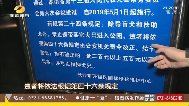 公园|长沙养犬的注意了！延长整治行动两个月，不戴嘴套、遛狗不牵绳…无证养犬直接扣留
