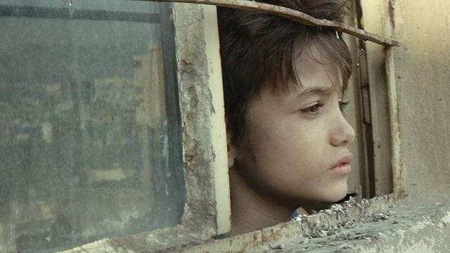 生而不养|深度解析《何以为家》:生而不养,不如鸟兽;养而不教,愧为父母