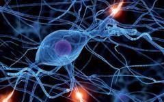 医生|为什么脑梗塞、脑出血容易留下后遗症？医生说和装修房子一个道理