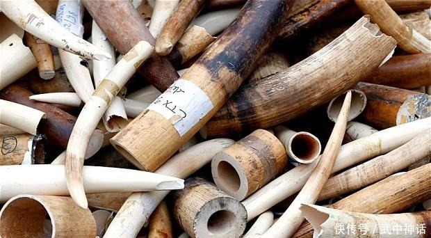 查货|海关查货蛇皮袋, 一把火烧得心都在滴血