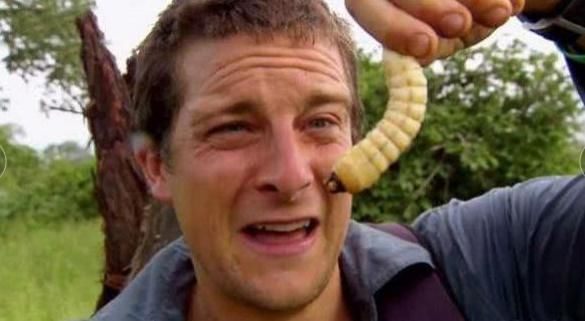  贝爷|为何贝爷如今再也不录《荒野求生》了，让我们来了解他过去的经历