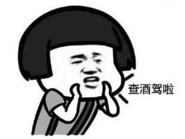  何某|酒驾闯卡逃逸、冲撞警车，天台一男子涉嫌妨害公务被刑拘