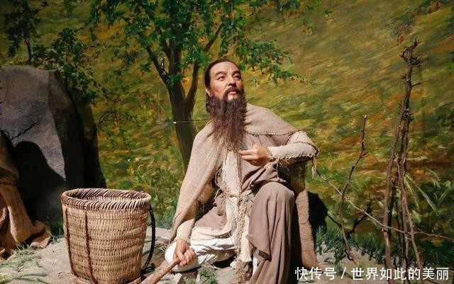 世界级|为什么茶会成为世界级的流行饮料?