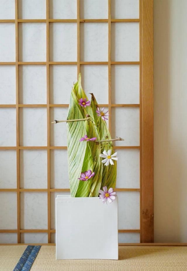  吊钟|她们的家，美得很让人种草