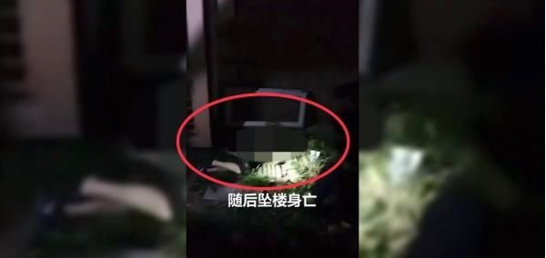  身亡|痛心！疑因中考成绩与父母发生争吵，花季少年放火烧房后跳楼身亡