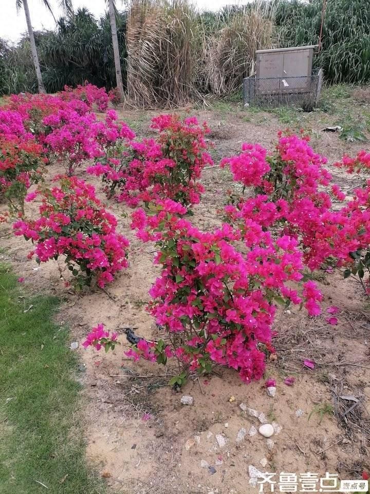 不舍得花钱的名字不仅叫节俭，还有一个叫吝啬