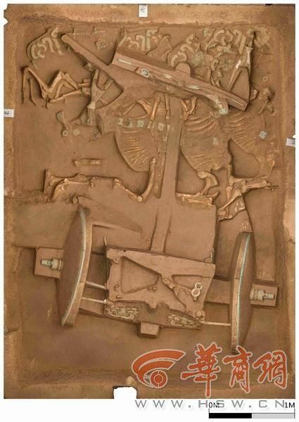  完毕|“西周第一豪车”清理保护完毕 马车装饰华丽被嵌成千上万绿松石