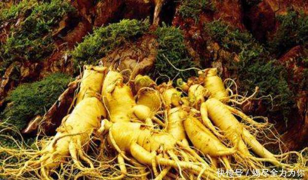  封禁|清朝为什么封禁长白山200多年 看似神秘的背后, 其中缘由