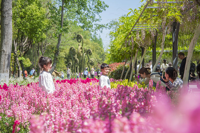 崇明“花朝节”进入尾声，“五一”小长假市民游客热情不减