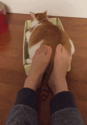 承担|如果100万让你跪下,你会承担吗?