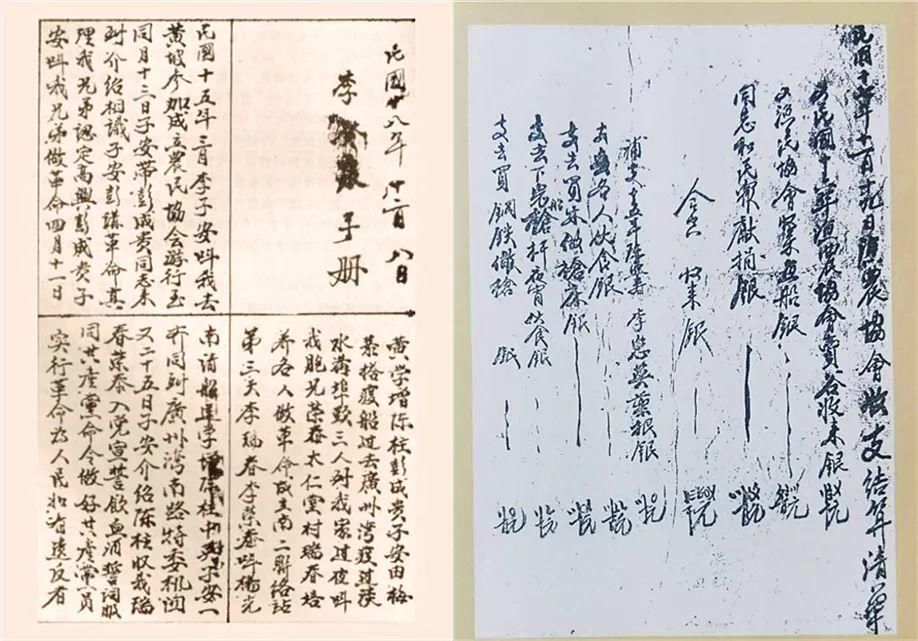  湛江市坡头区摄影协|映日荷花醉「乾塘」