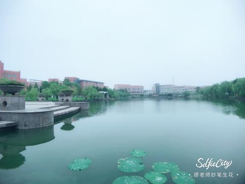 缪老师拍摄|性价比超高：全国大学中的21所“黄埔军校”，都是谁？