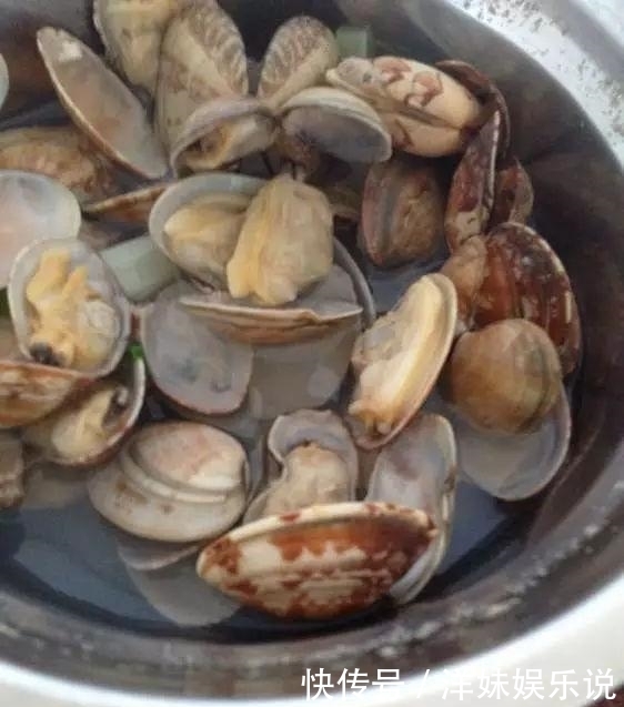 海鲜|海鲜大全, 你能认出多少