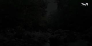 竟成|南韩口碑爆棚,“男神收割机”竟成实验对象?