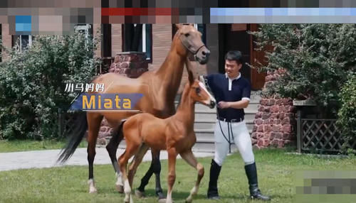  嘉宾|《奔跑吧》节目中首次，男嘉宾遭导演怒怼，女嘉宾却又怒怼男导演